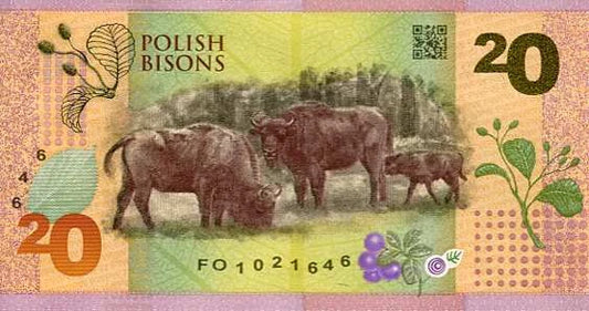 Banknot testowy PWPW Polskie Żubry