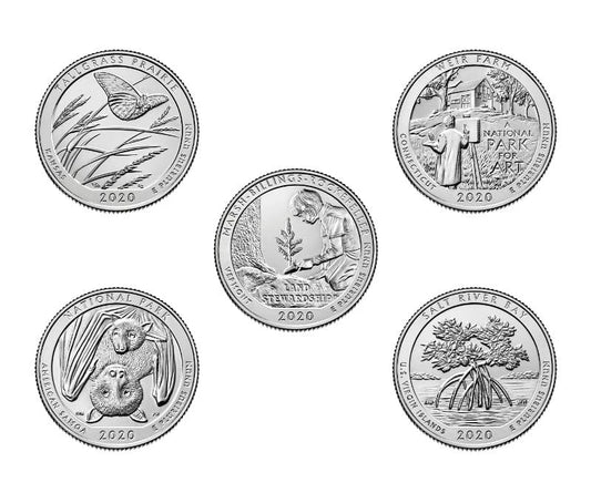 USA Parki 2020 r. 5 x 25c